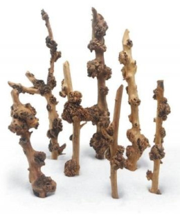 PROGROW ENIGMA WOOD korzeń imitujący pionowy pień las 40-45cm