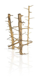 PROGROW TREE WOOD naturalny korzeń 40-55cm