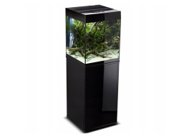 Aquael Glossy Cube day&night akwarium z oświetleniem 50x50x63cm