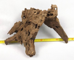 Korzeń Dragon Wood #018 38x24x20 cm 1,2kg