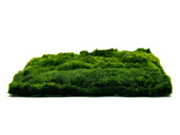 Gotowy trawnik z GAŁĘZATKI XL 15x10cm