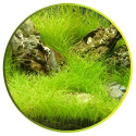 Aqua Soil 1l naturalny substrat podżwirowy na bazie Ziemi Ogrodowej